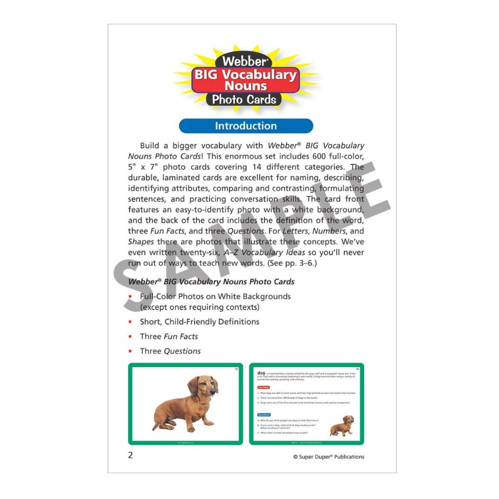 Webber® BIG Vocabulary Nouns Photo Cards