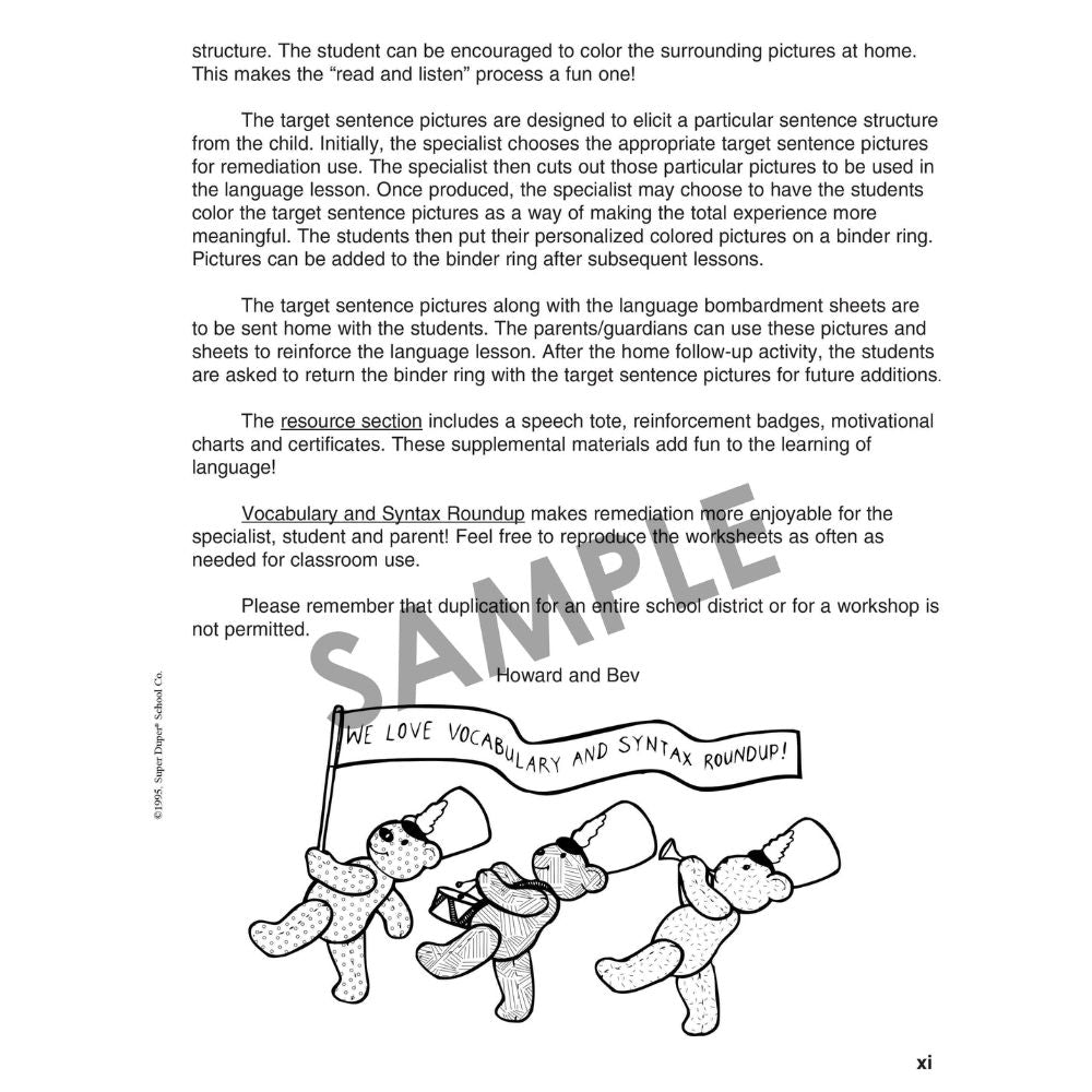 Vocabulary & Syntax Roundup Book