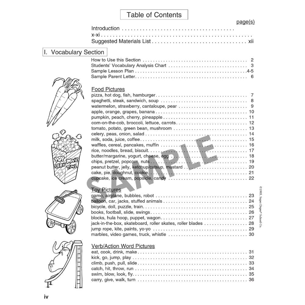 Vocabulary & Syntax Roundup Book