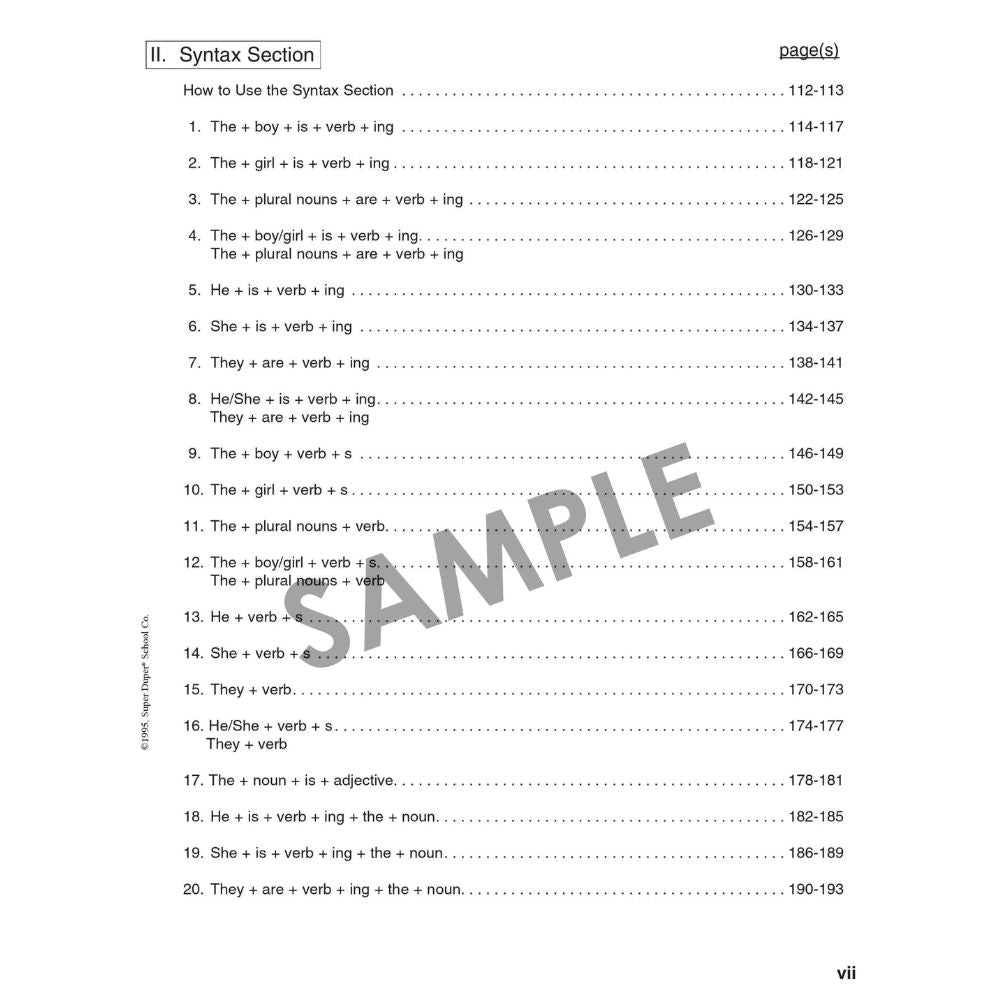 Vocabulary & Syntax Roundup Book