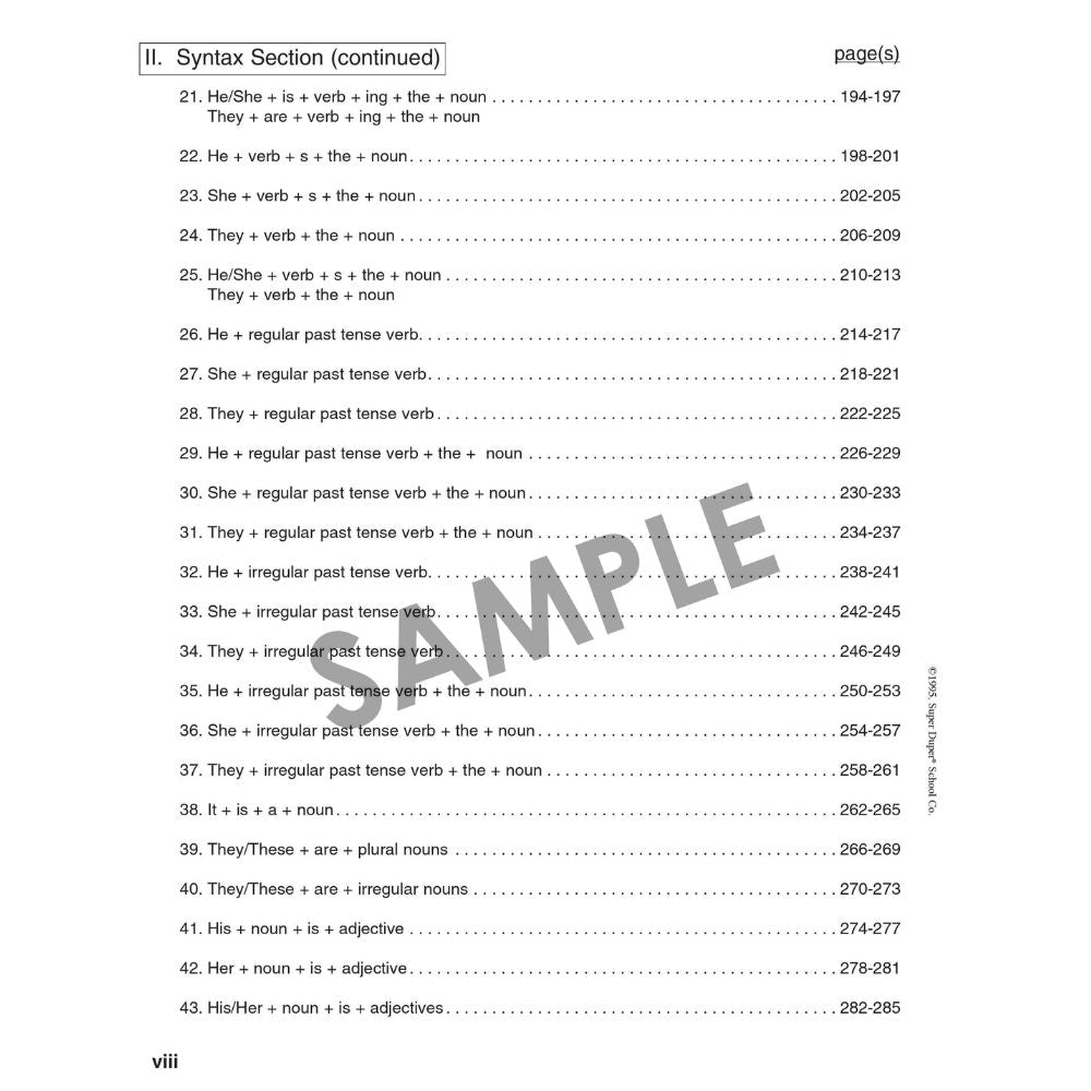Vocabulary & Syntax Roundup Book