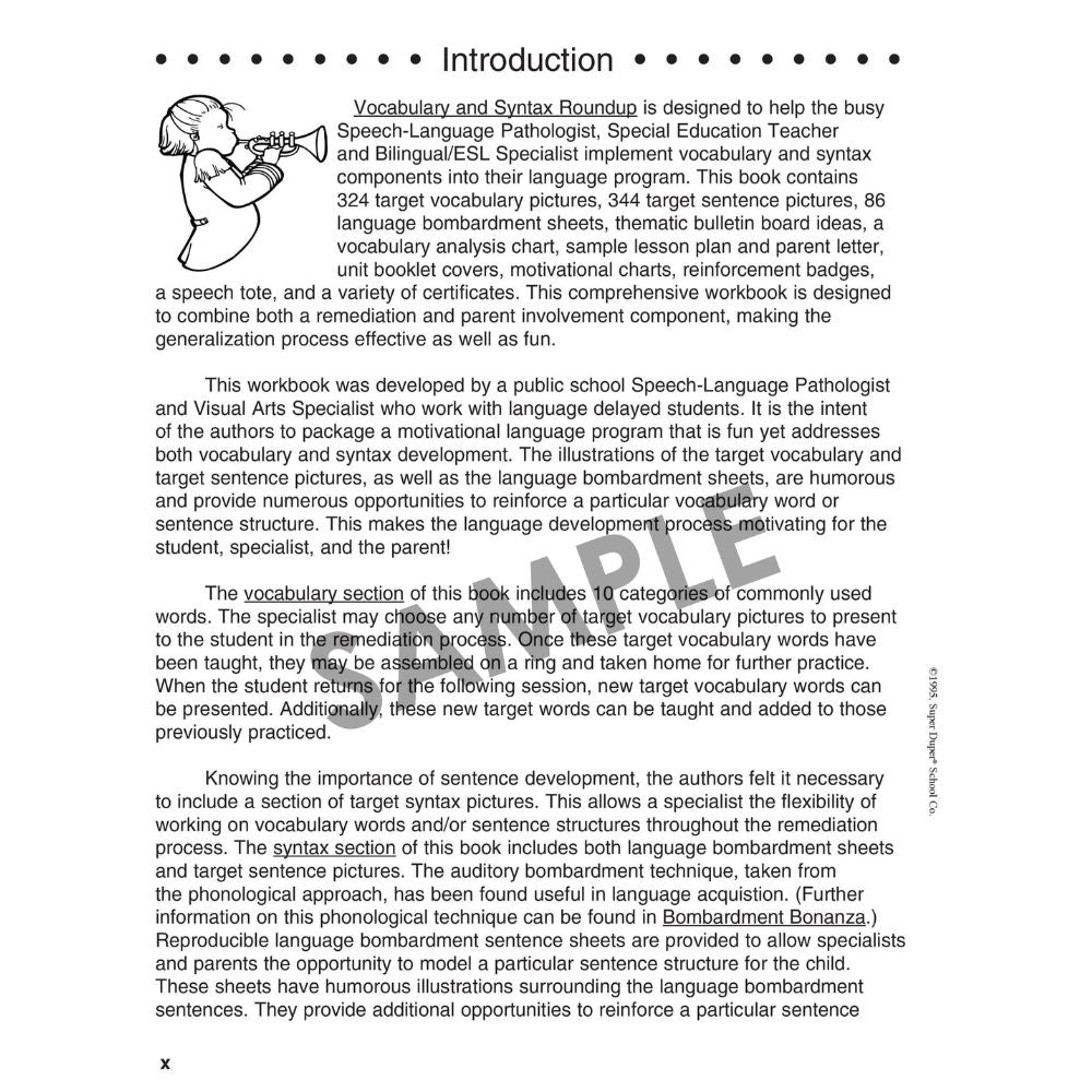 Vocabulary & Syntax Roundup Book