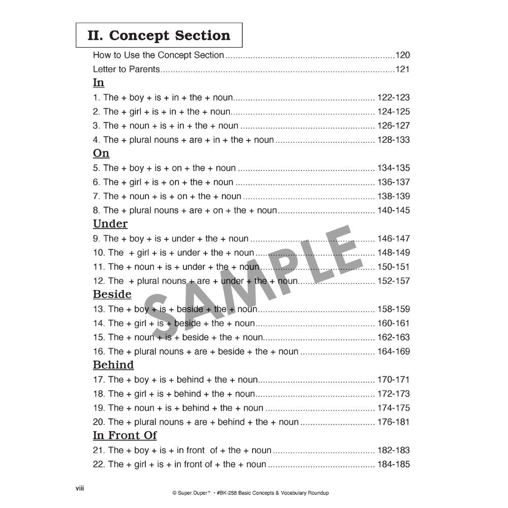 Basic Concept & Vocabulary Roundup Book