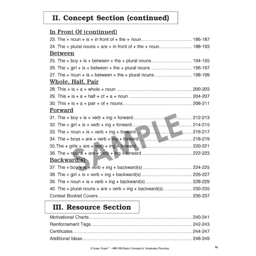 Basic Concept & Vocabulary Roundup Book