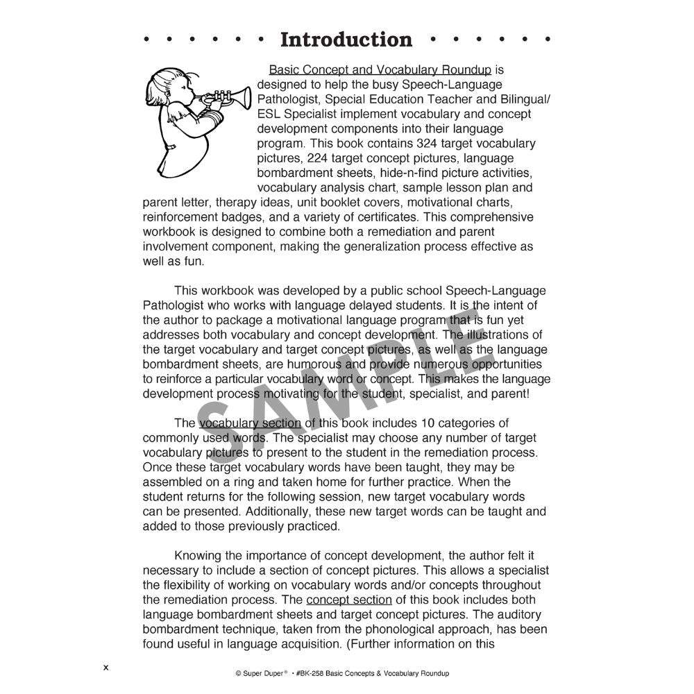 Basic Concept & Vocabulary Roundup Book