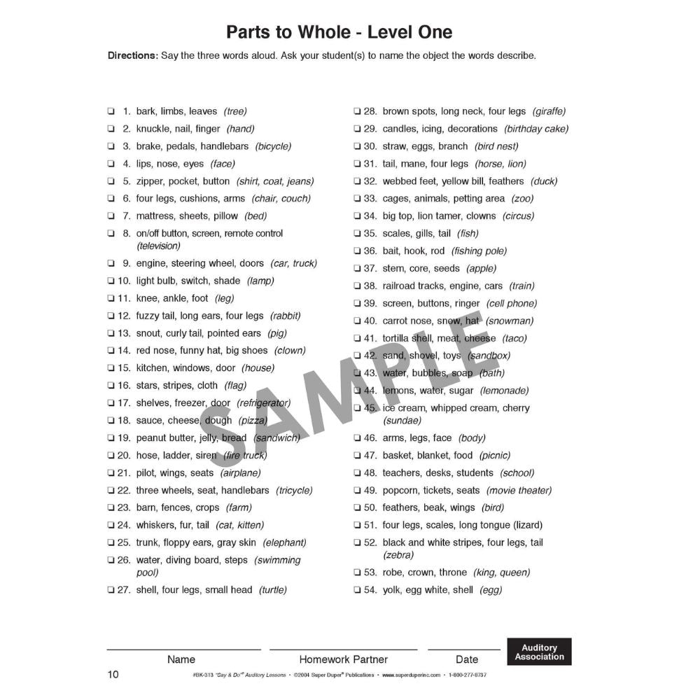 Say And Do Auditory Lessons