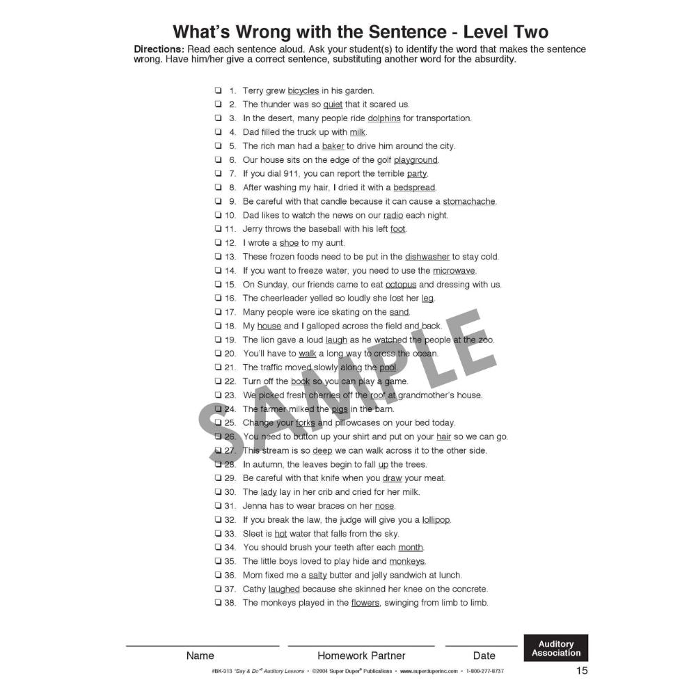 Say And Do Auditory Lessons
