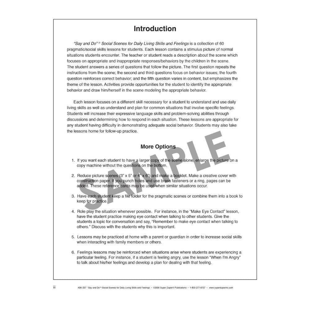 Say and Do® Social Scenes for Daily Living Skills and Feelings