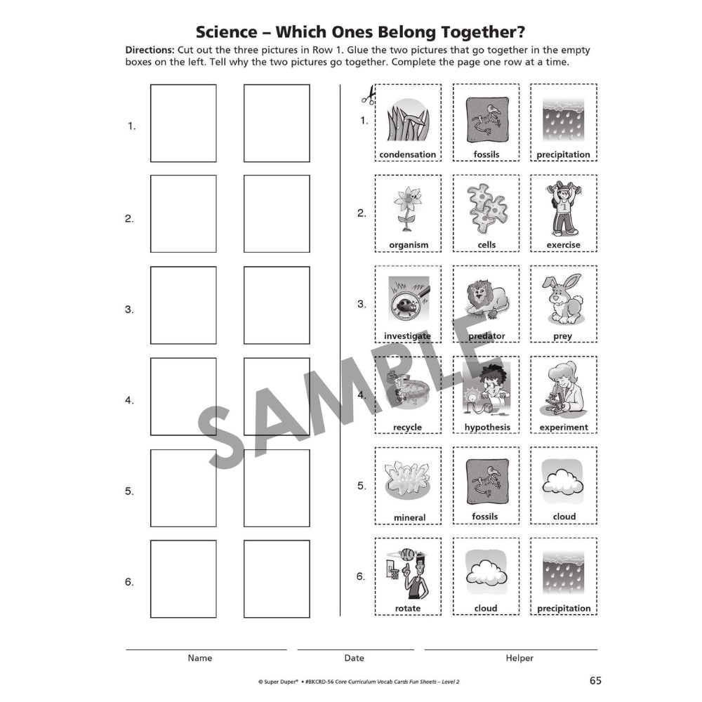Webber® Core Curriculum Vocabulary Cards and Fun Sheets (Level 2)