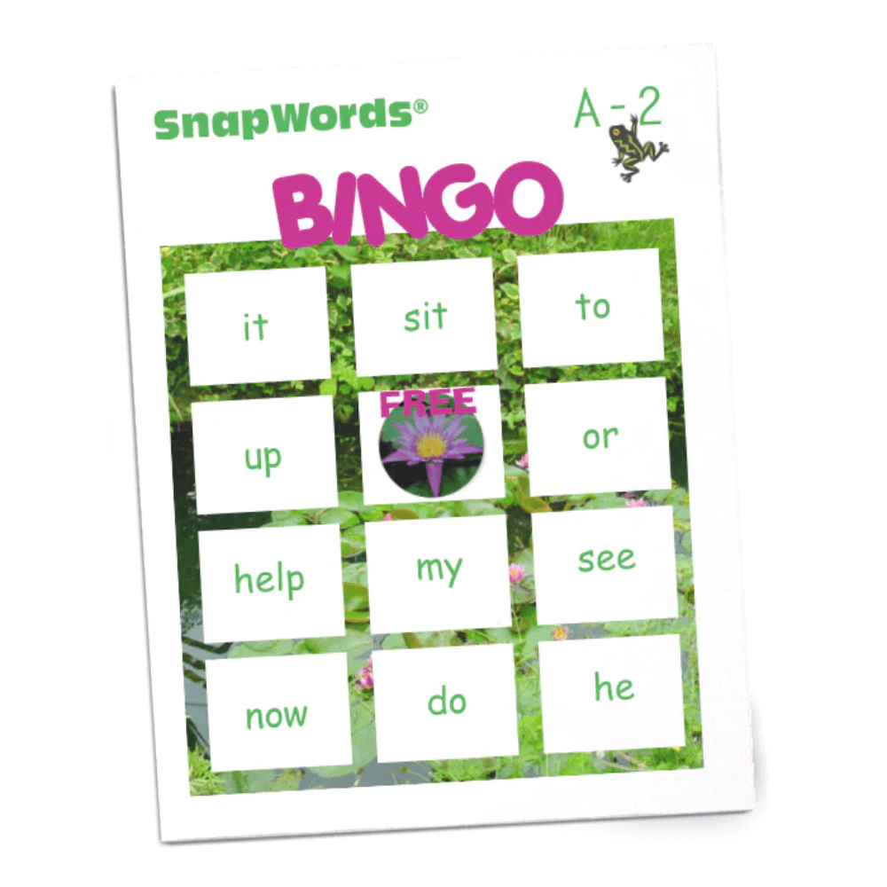 Beyond Sight Words Activities - A BINGO sample card