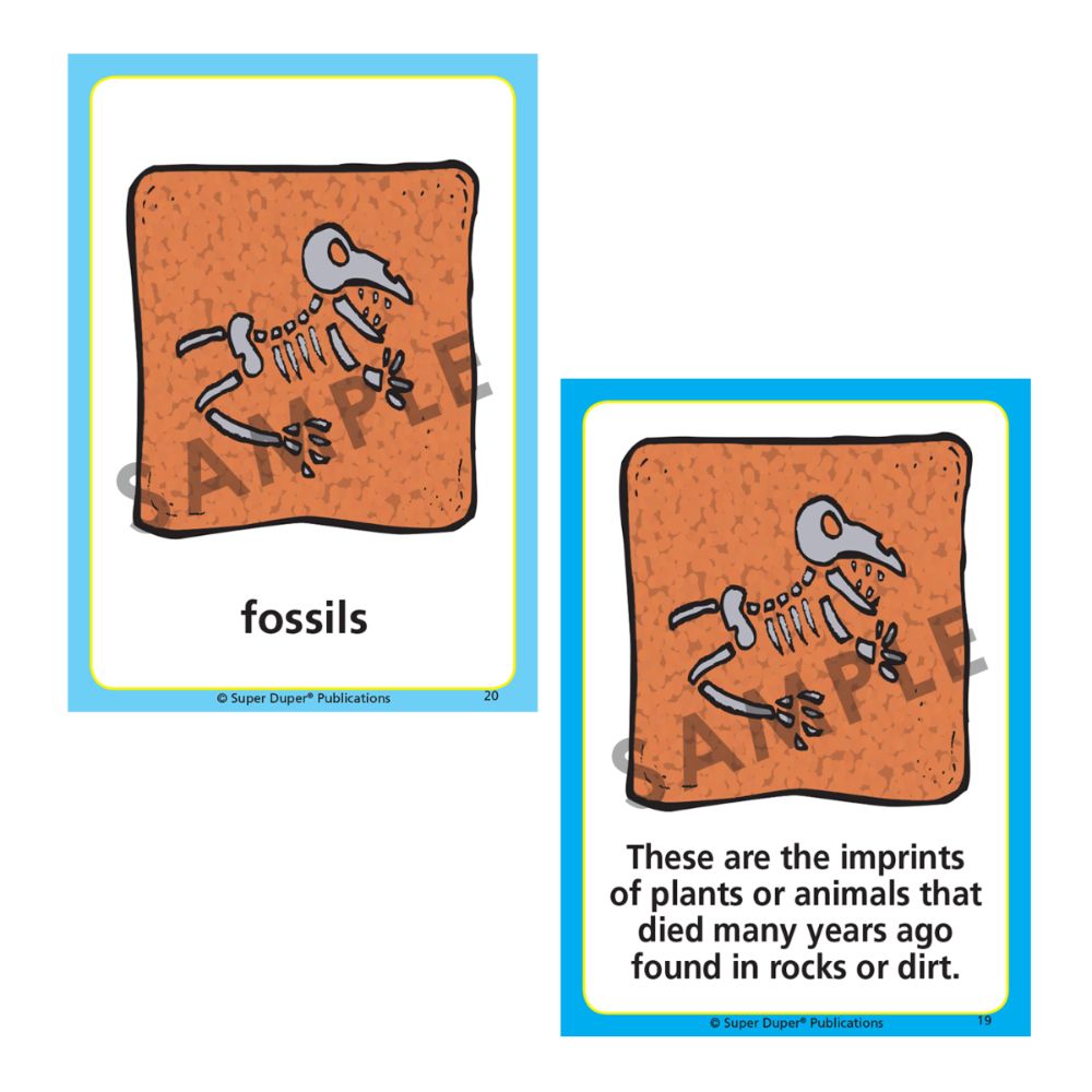 Webber® Core Curriculum Vocabulary Cards and Fun Sheets (Level 2)