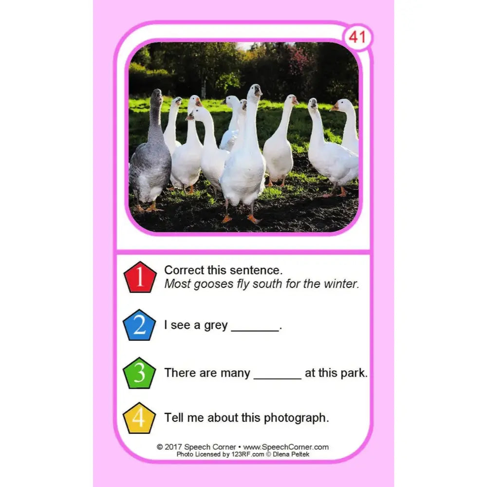 A pink educational card with a photo of several white and grey geese standing in grass, plus numbered sentences for correction and fill-in activities.