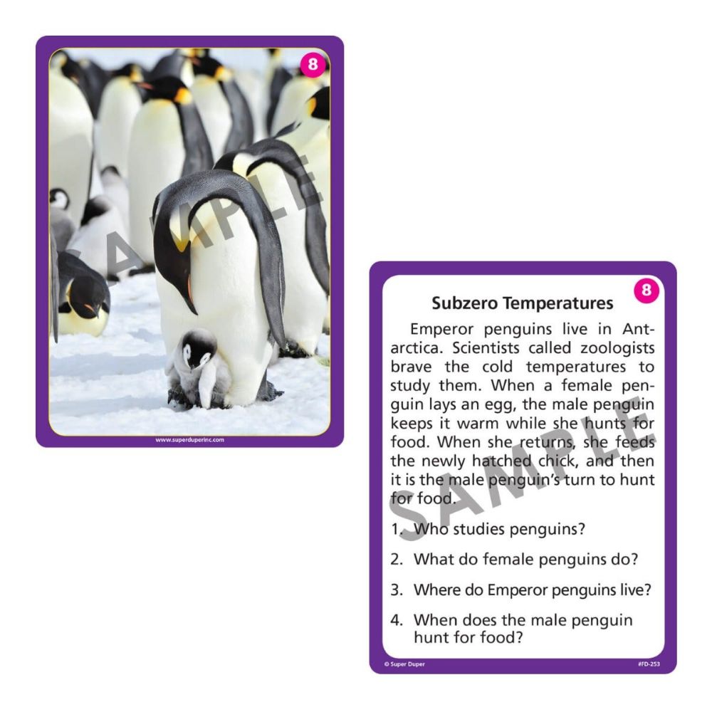 Photo Auditory Memory for Short Stories Fun Deck®