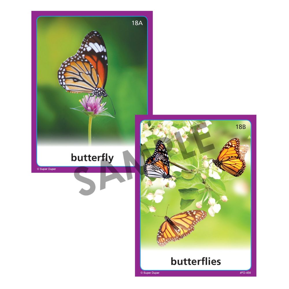 Photo Irregular Plurals Photos Fun Deck®