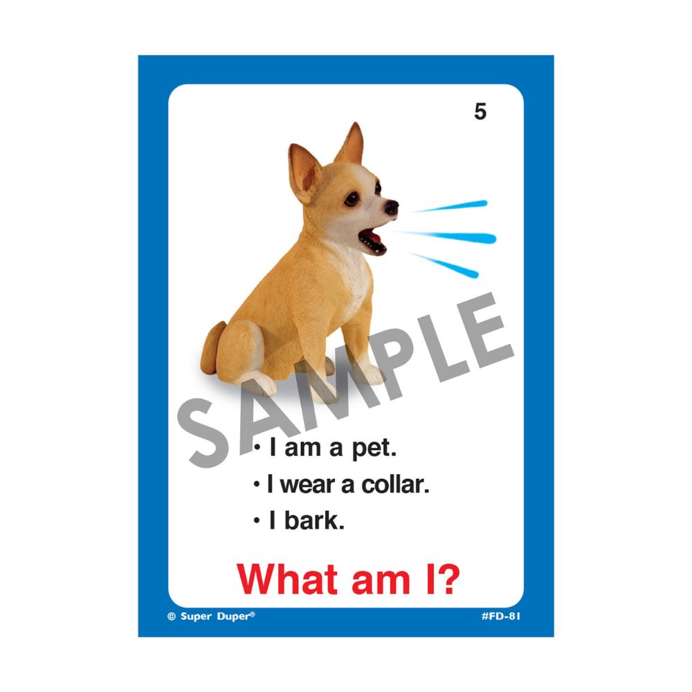Auditory Memory For Riddles Fun Deck