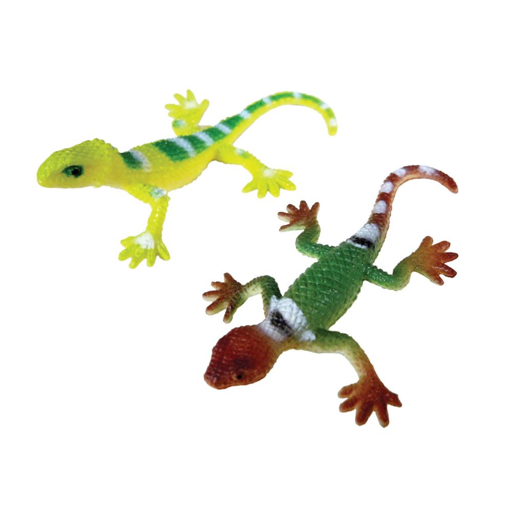 Lids 'n Lizards®
