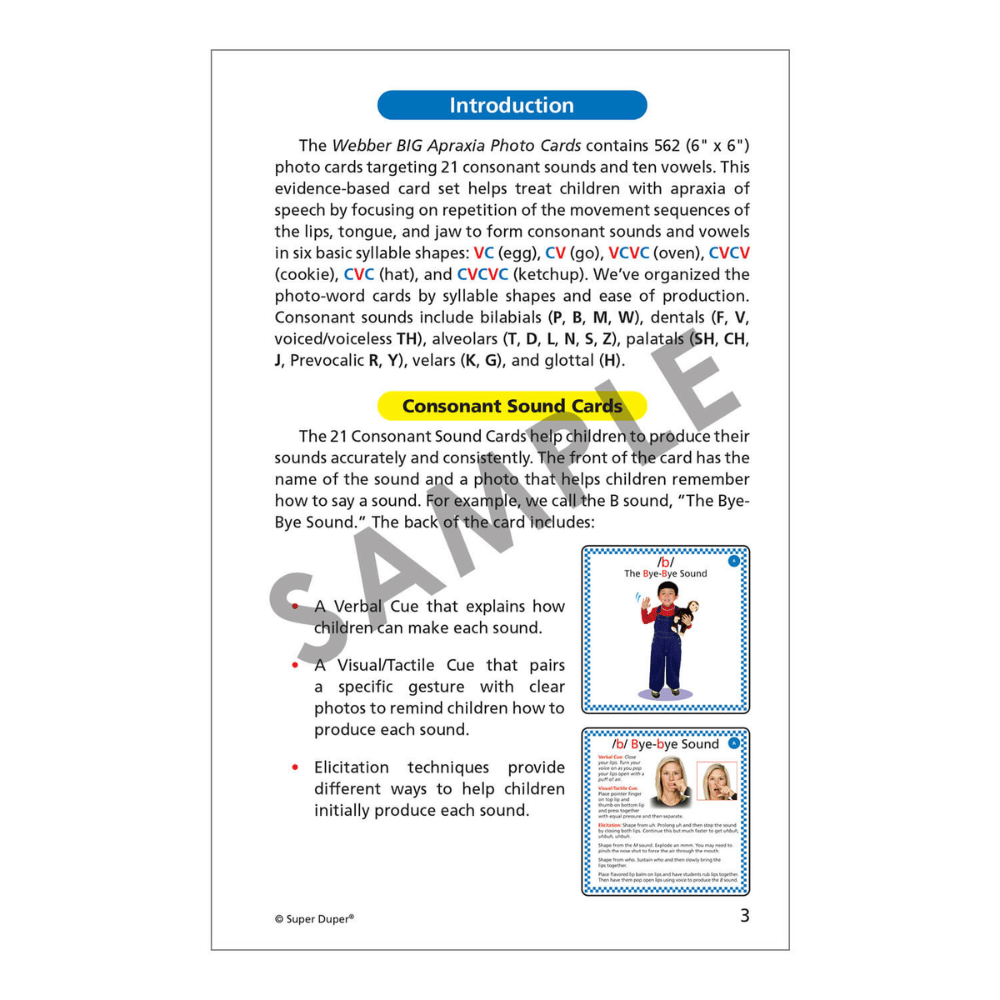 Webber® BIG Apraxia Photo Cards Introduction