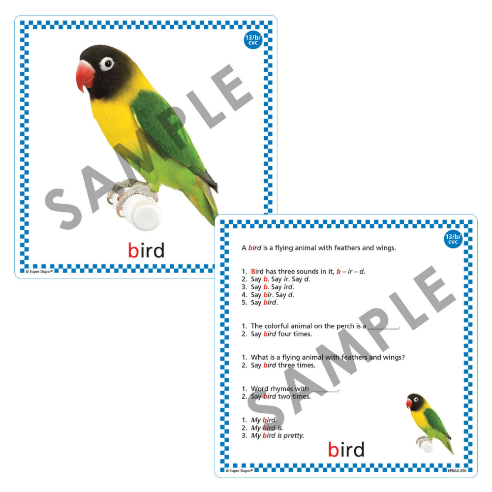 Webber® BIG Apraxia Photo Cards Sample Cards