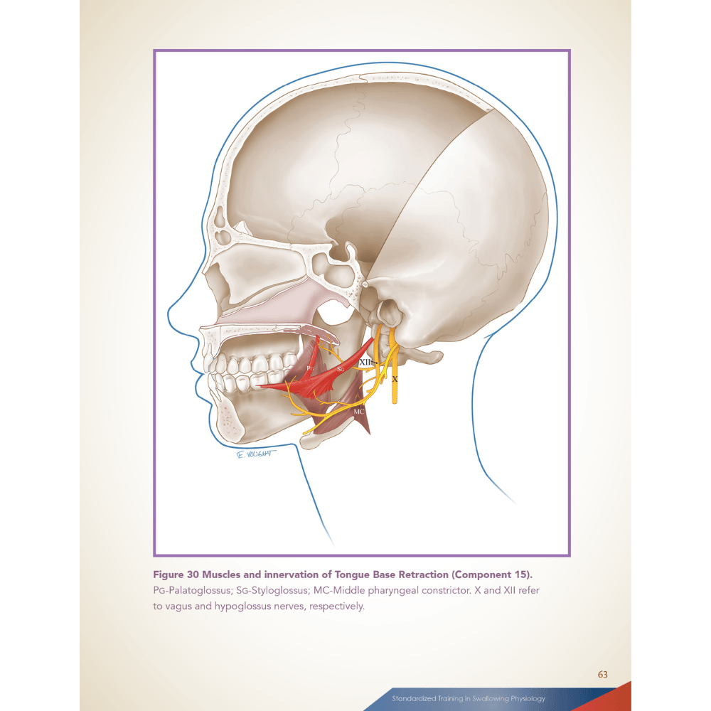 MBSImP: Modified Barium Swallow Impairment Profile Approach