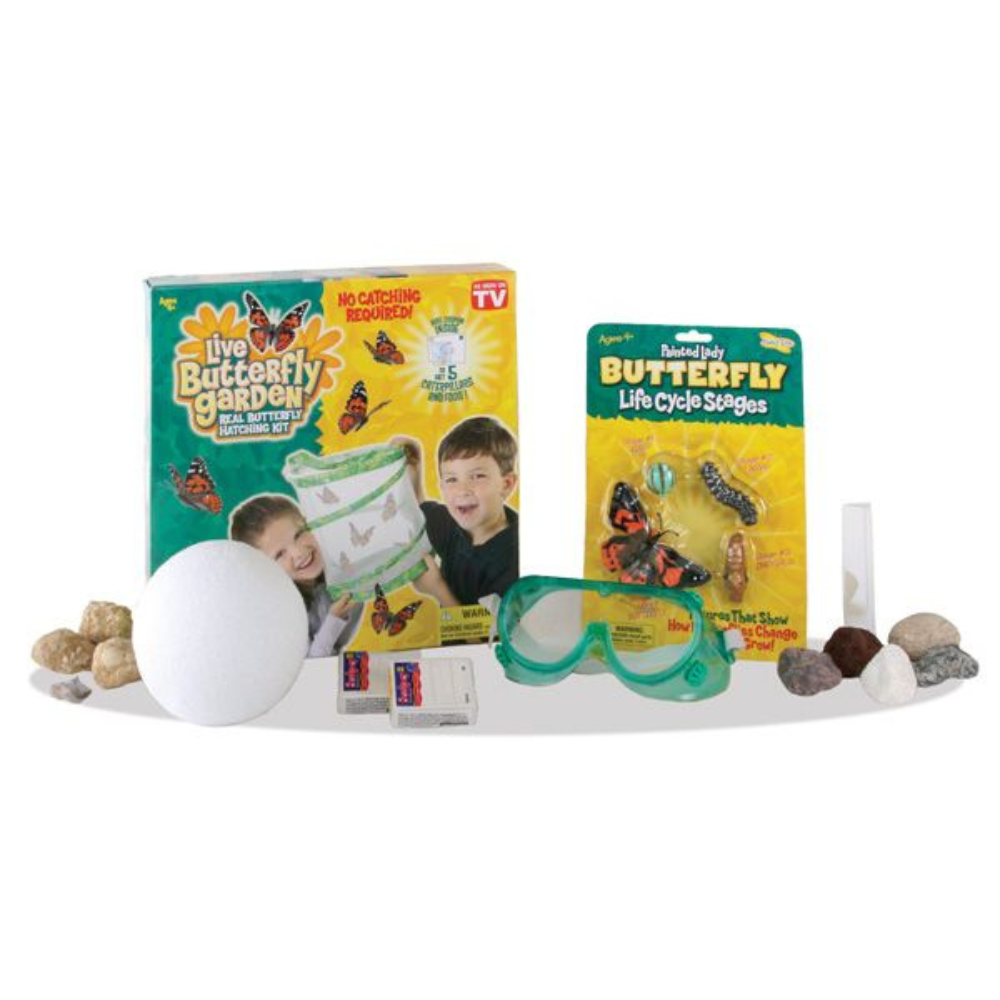 Early Science Curriculum Live Butterfly Garden hatching kit and butterfly life cycle stages, Canada