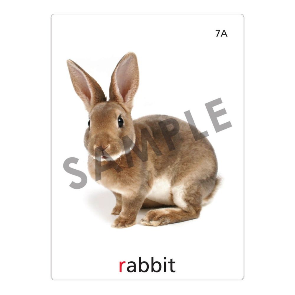 An articulation and language learning resource flashcard with a photo of a bunny