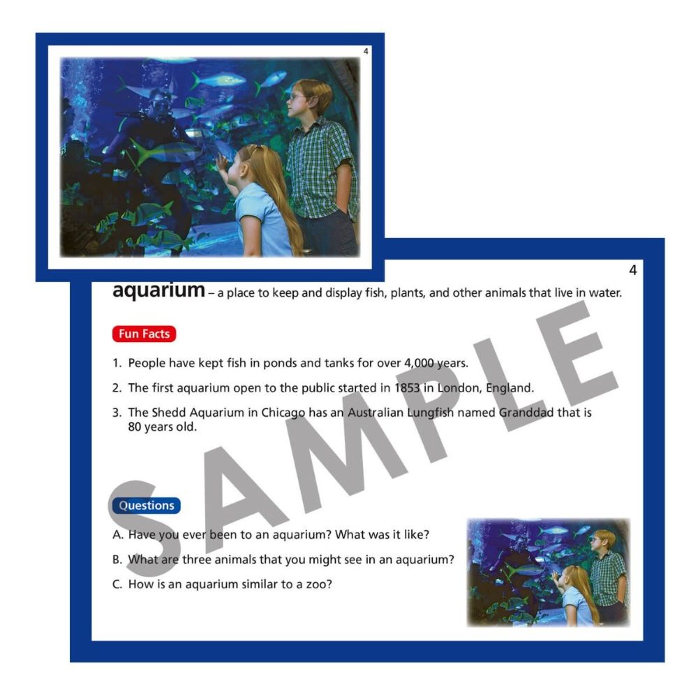 Webber® BIG Vocabulary Nouns Photo Cards