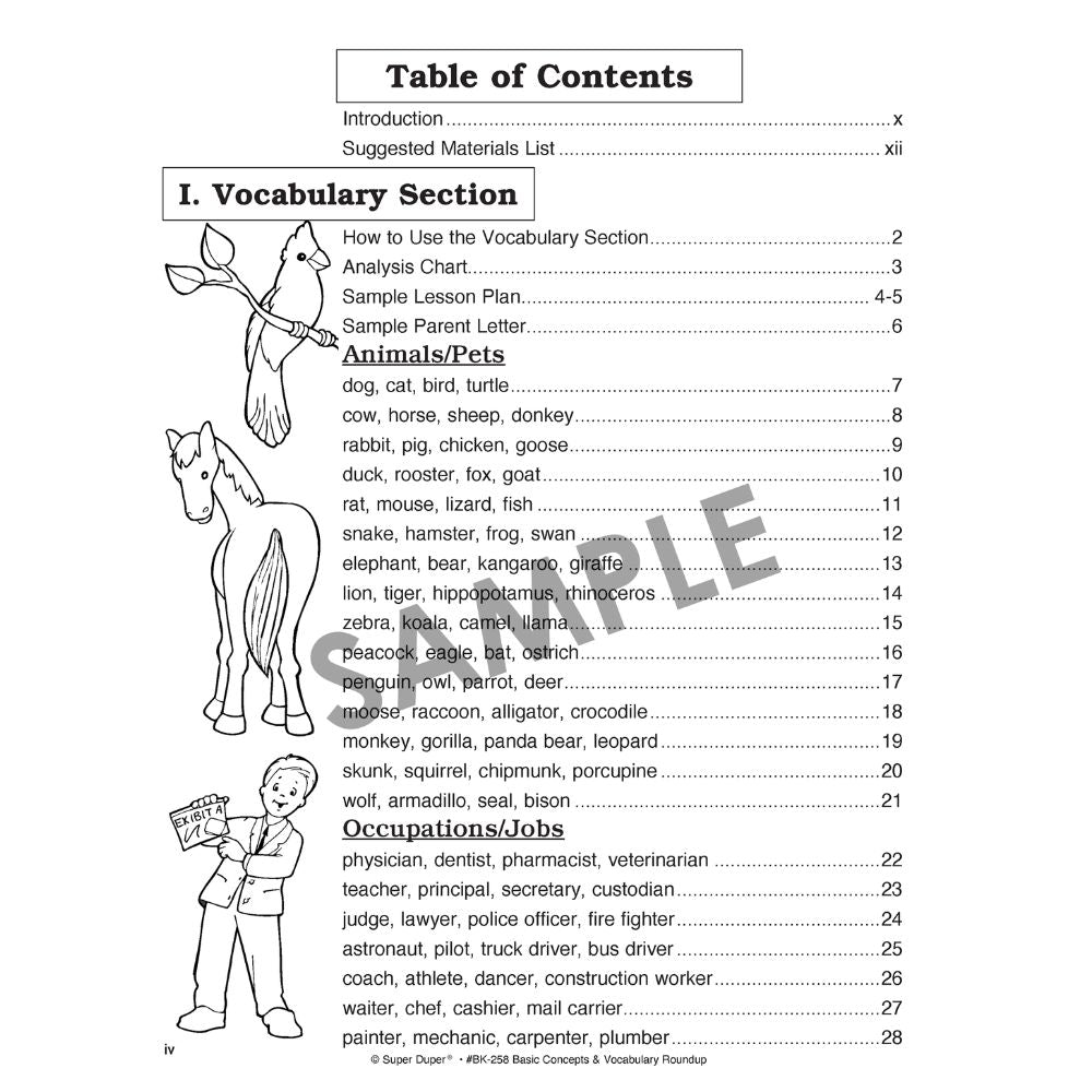 Basic Concept & Vocabulary Roundup Book