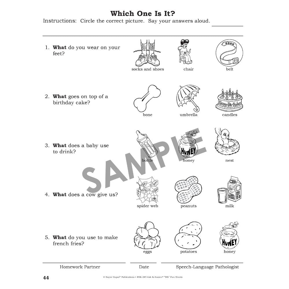 Ask & Answer "Wh" Fun Sheets Book