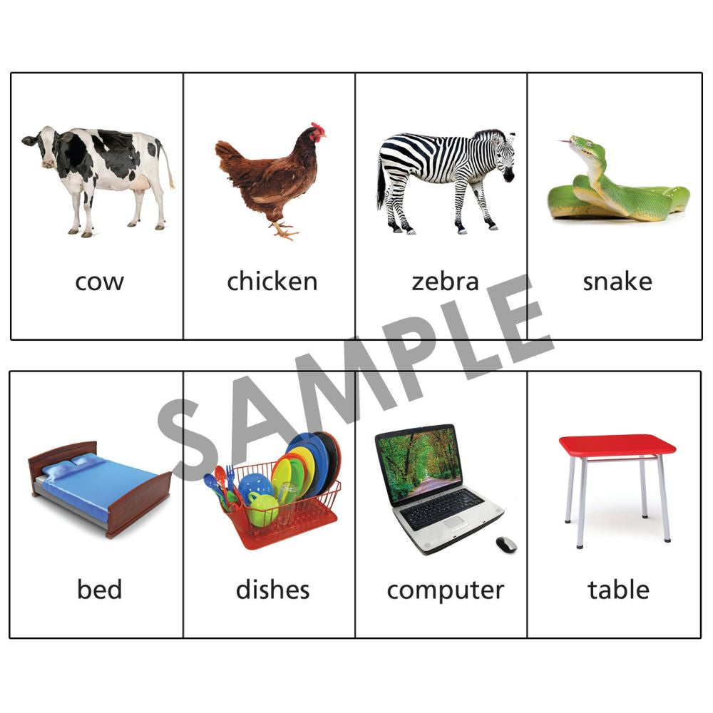 Photo Classifying FLiPS® , sample photo cards of a cow, chicken, zebra, snake, bed, dishes, computer, and a table
