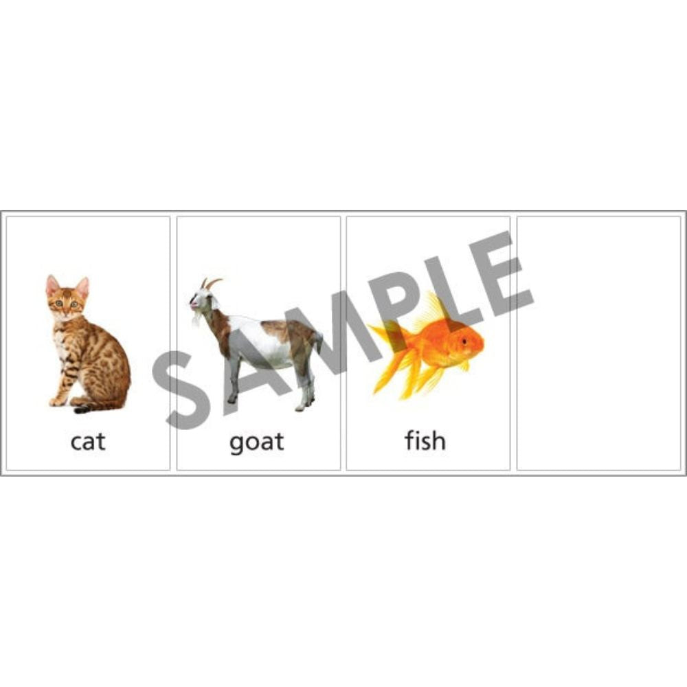 Photo Classifying FLiPS® , sample photo cards of a cat, goat, fish, and a blank card