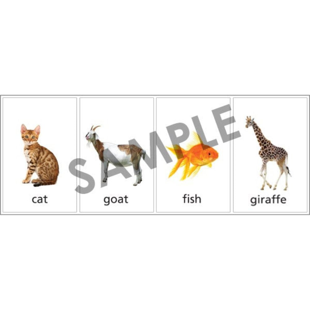 Photo Classifying FLiPS® , sample photo cards of a cat, goat, fish, and giraffe
