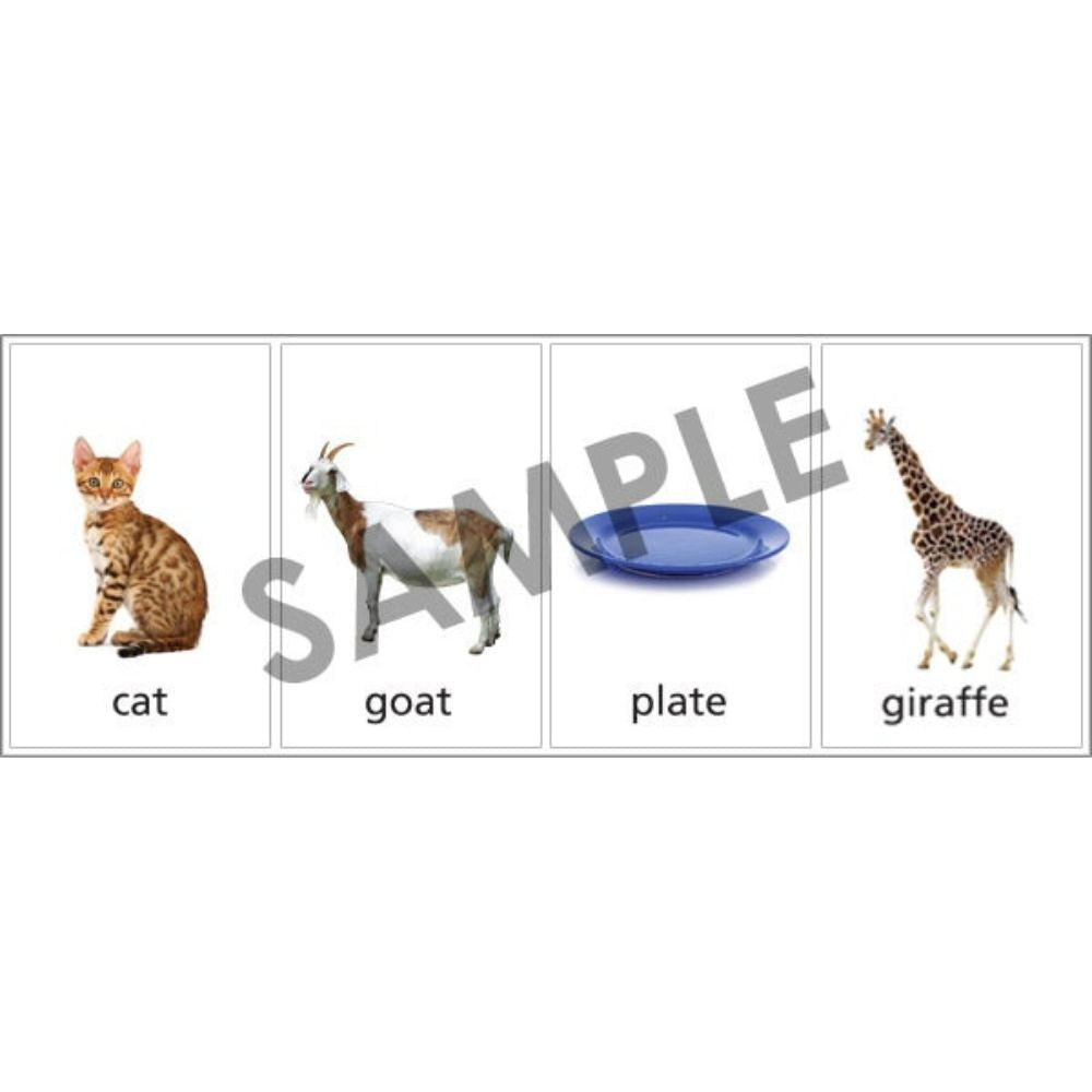 Photo Classifying FLiPS® , sample photo cards of a cat, goat, plate, and giraffe