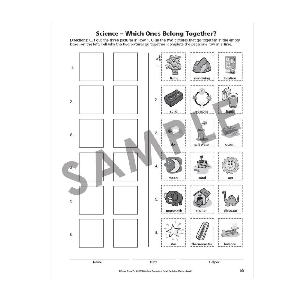 Webber® Core Curriculum Vocabulary Cards and Fun Sheets (Level 1)