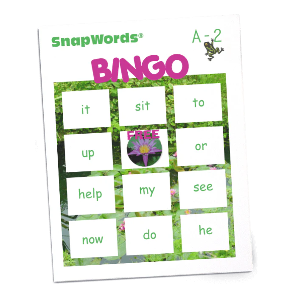  Beyond Sight Words Activities - A BINGO sample card