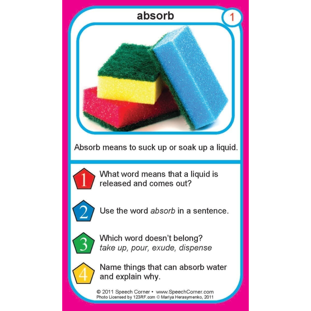 A printed educational card titled 'absorb' with a pink border, a small photo of three colored sponges, and text explaining the meaning of absorb plus three numbered questions.