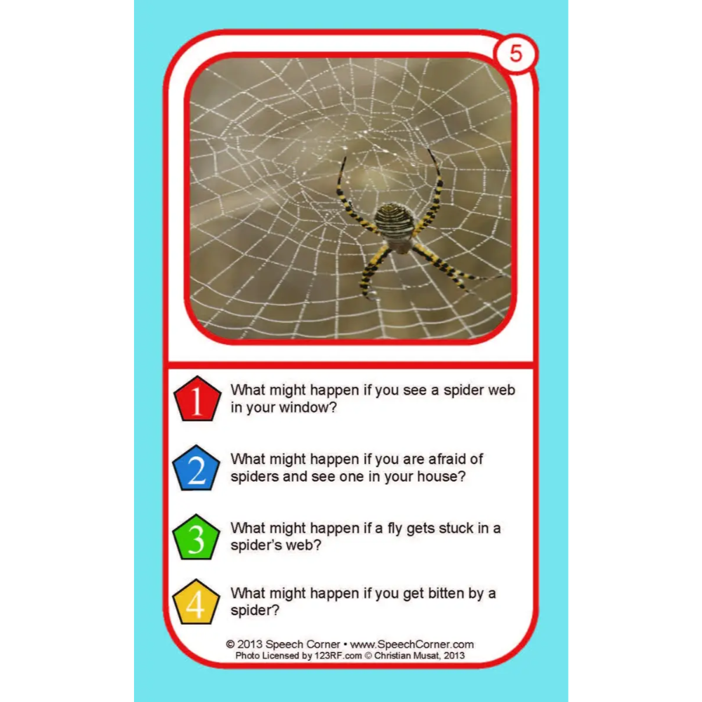 A printed educational card featuring a large spider web photo at the top and four numbered text prompts about spider-related questions, with a turquoise border and red rounded frame.