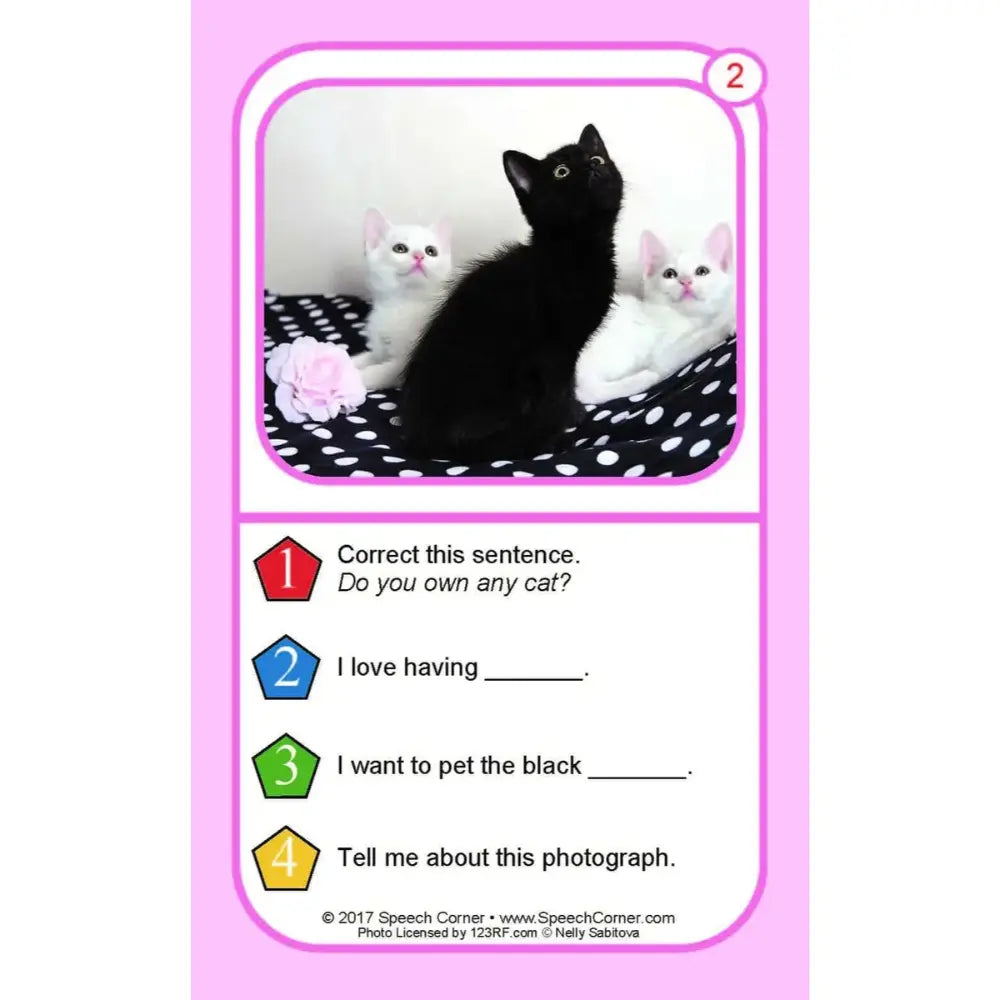 A children's educational card with a pink border, featuring a photo of three cats (one black, two white) on a black-and-white polka dot blanket. Below the photo are numbered exercise prompts about cats in English, including 'Correct this sentence.