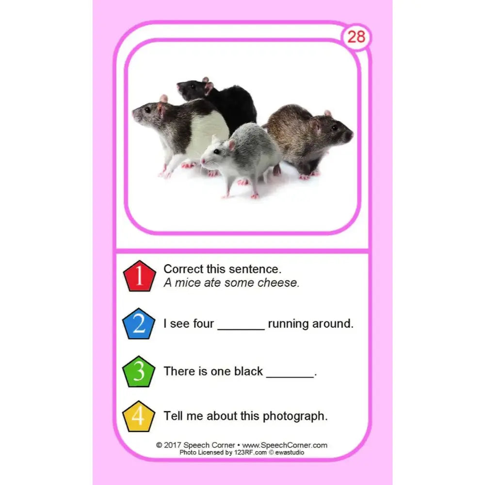 A pink educational card featuring four rats in a photo box at the top, with numbered exercise sentences below for correction and filling in blanks.