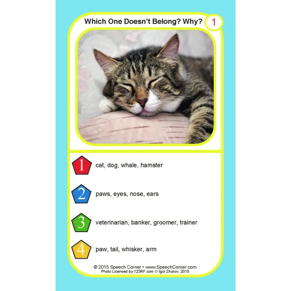 A printed educational card titled 'Which One Doesn't Belong? Why?' with a photo of a sleeping cat in a yellow-bordered photo box and four answer choices listed below, on a light blue background.