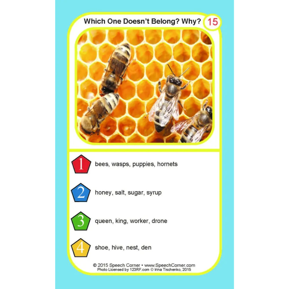 An educational card titled 'Which One Doesn't Belong? Why?' featuring a photo of bees on a honeycomb above a list of non-bee terms, with numbered options 1 through 4.