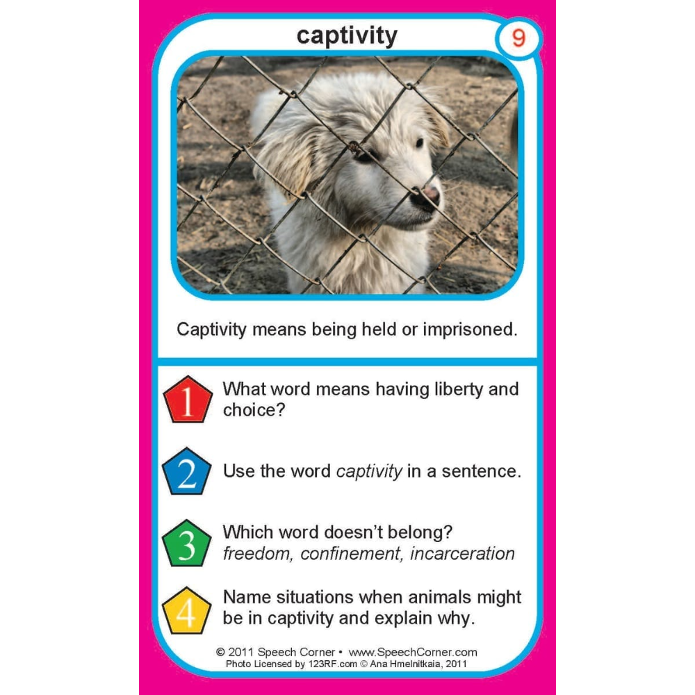 Advanced Vocabulary Building Double Dice Add-On Deck