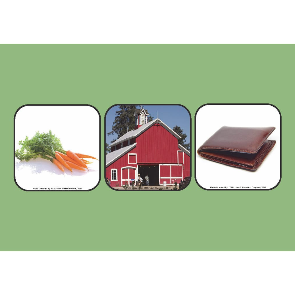 Speech Corner Photo Cards for Minimally Verbal Individuals