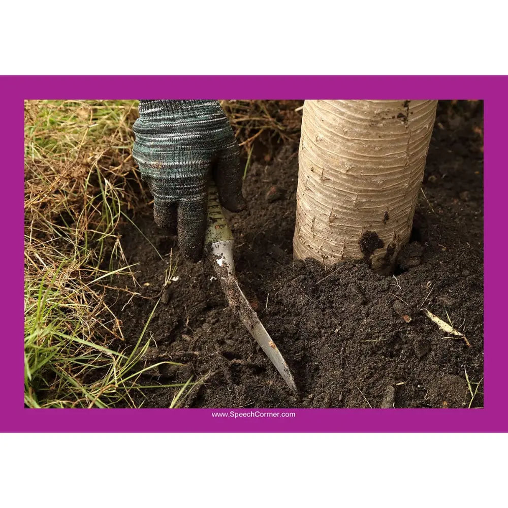 A close-up of a gloved hand using a small hand tool to loosen soil around the base of a tree trunk, with grass and dark earth visible. The photo is framed by a magenta border.