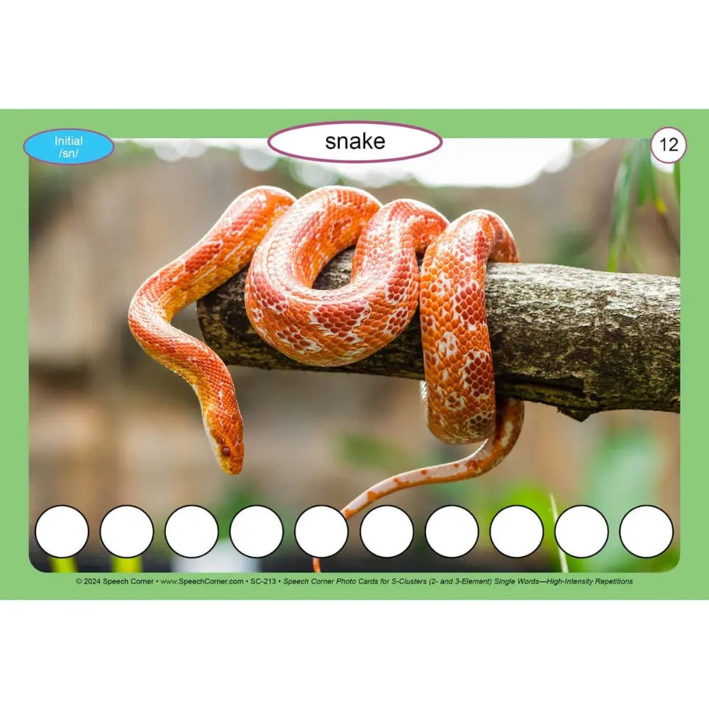 S-Clusters: 2- and 3-Element Single Words Photo Cards