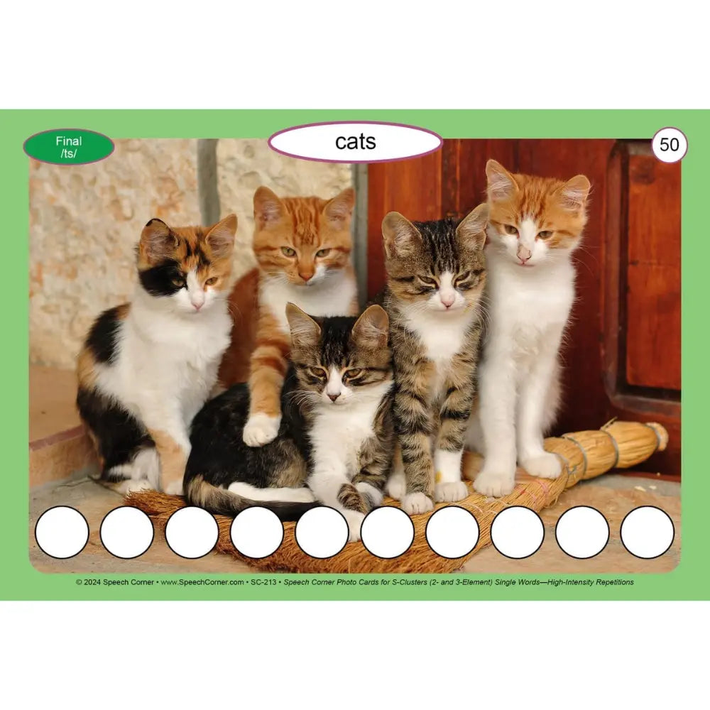 S-Clusters: 2- and 3-Element Single Words Photo Cards