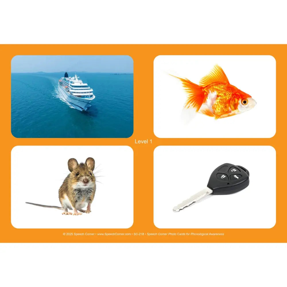 Phonological Awareness Photo Cards