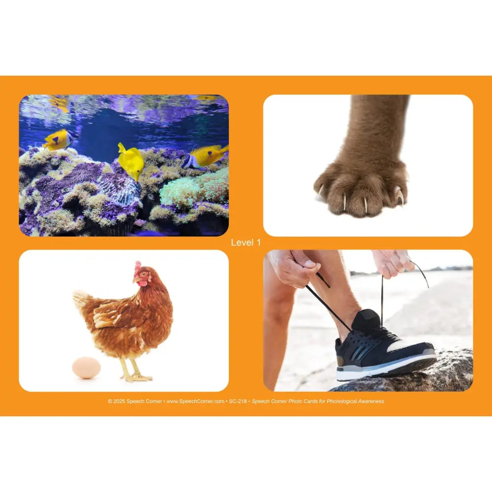 Phonological Awareness Photo Cards