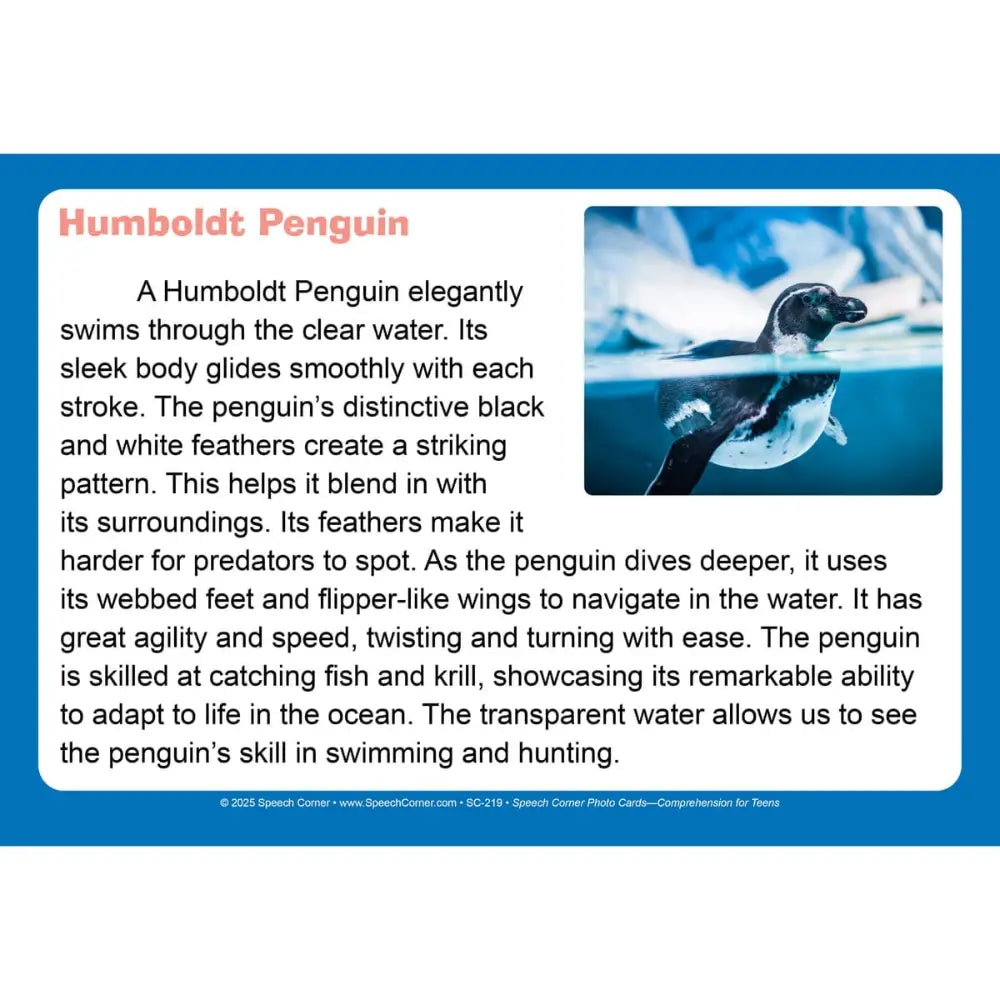 Comprehension for Teens Photo Cards