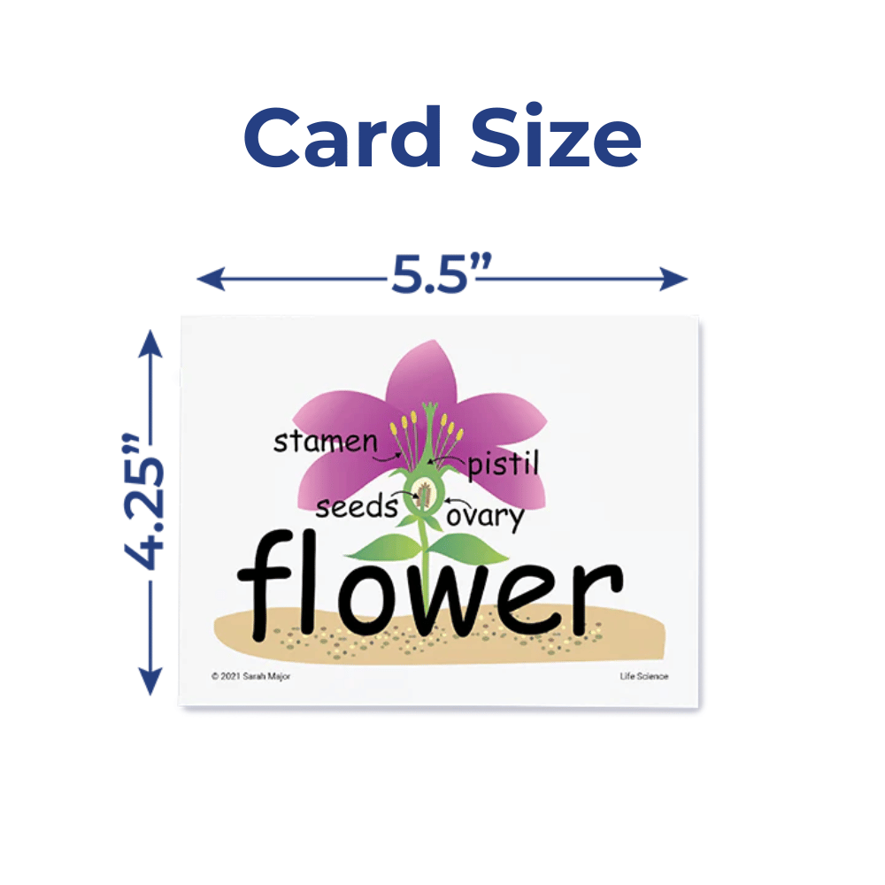 SnapWords® Science Vocabulary Card Size