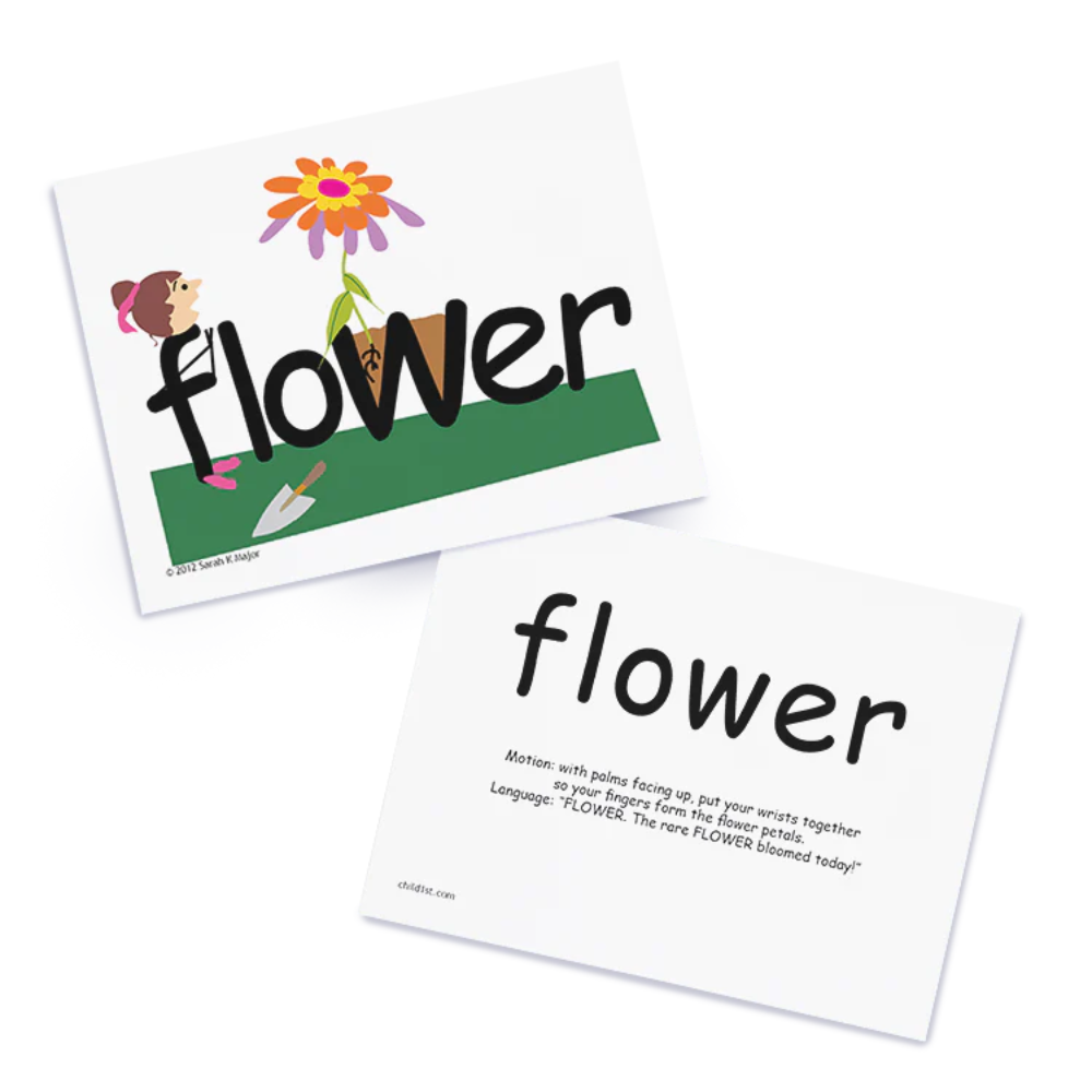 SnapWords® Preschool Teaching Cards showing an illustration for the word "flower"